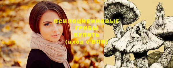 спиды Абдулино