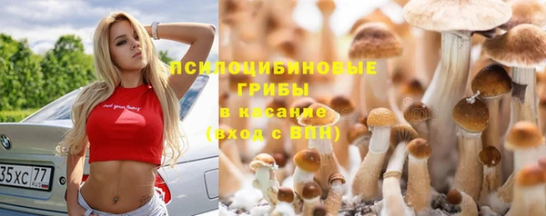 соль курить ск Абаза