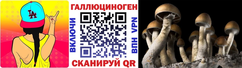 Псилоцибиновые грибы ЛСД Талдом