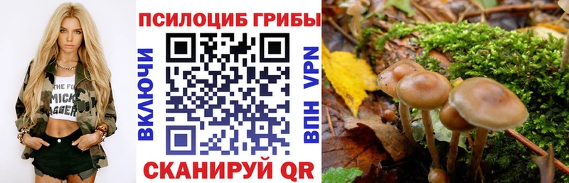 ссылка на мегу маркетплейс  Талдом  Псилоцибиновые грибы Magic Shrooms  магазин продажи наркотиков 